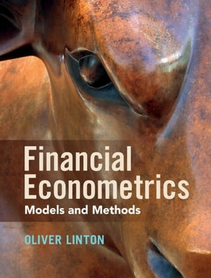 Financial Econometrics Models and Methods