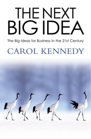 The Next Big IdeaŻҽҡ[ Carol Kennedy ]