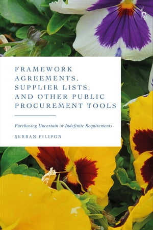 Framework Agreements, Supplier Lists, and Other Public Procurement Tools