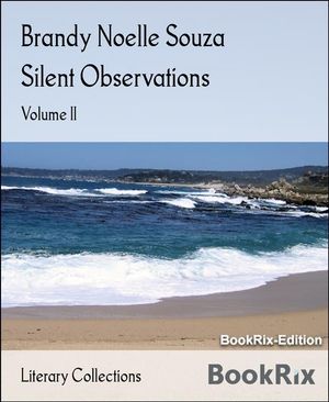 Silent Observations Volume II【電子書籍】[ Brandy Noelle Souza ]