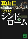 ハゲタカ 5 シンドローム（下）【電子書籍】 真山仁