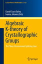 Algebraic K-theory of Crystallographic Groups The Three-Dimensional Splitting Case【電子書籍】 Daniel Scott Farley