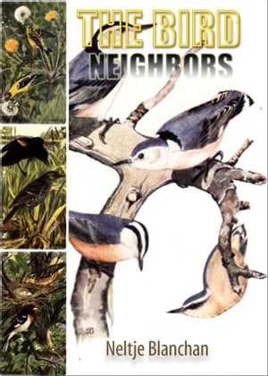 BIRD NEIGHBORS An Introductory Acquaintance with One Hundred and Fifity Birds Commonly Found in the Gardens, Meadows, and Woods About Our Homes