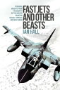 Fast Jets and Other Beasts Personal Insights from the Cockpit of the Hunter, Phantom, Jaguar, Tornado and Many More【電子書籍】 Ian Hall