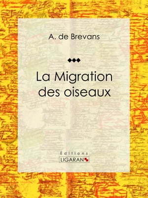 La migration des oiseaux