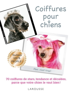 Coiffures pour chiens