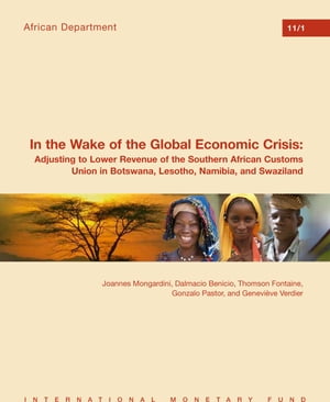 In the Wake of the Global Economic Crisis: Adjusting to Lower Revenue of the Southern African Customs Union in Botswana, Lesotho, Namibia, and Swaziland