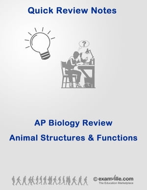 AP Biology - Animal Structures and Functions