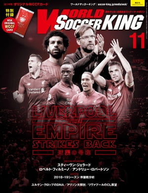 ワールドサッカーキング2018年 11月号