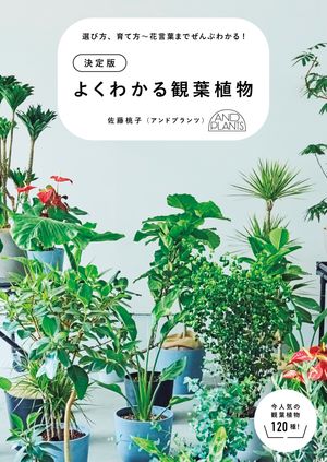 決定版　よくわかる観葉植物