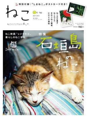 ねこ＃82