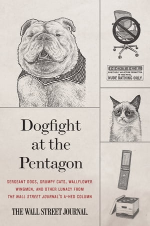 Dogfight at the Pentagon