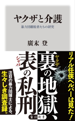 ヤクザと介護　暴力団離脱者たちの研究