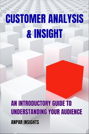 Customer Analysis & Insight: An Introductory Guide To Understanding Your Audience