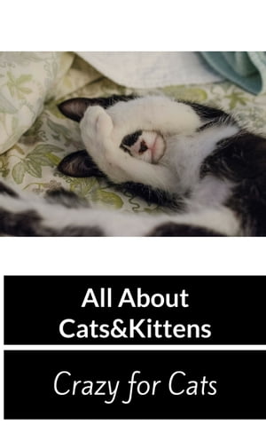 All About Cats