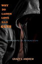 WHY DO LADIES LOVE BAD GUYS Complexity Of Attraction【電子書籍】[ Morohunfoluwa Akinbo...