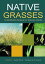 Native Grasses