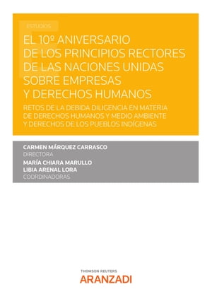 El 10? Aniversario de los Principios Rectores de las Naciones Unidas sobre empresas y derechos humanos Retos de la debida diligencia en materia de Derechos Humanos y medio ambiente y derechos de los pueblos ind?genas