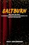 SALTBURN MOVIE GUIDE