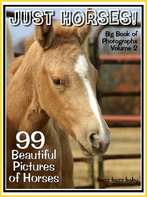 99 Pictures: Just Horse Photos! Big Book of Photographs Vol. 2b