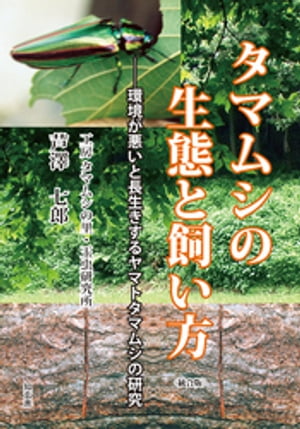 タマムシの生態と飼い方ーー環境が悪いと長生きするヤマトタマムシの研究