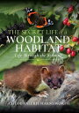 The Secret Life of a Woodland Habitat Life Through the Seasons