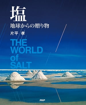 片平孝