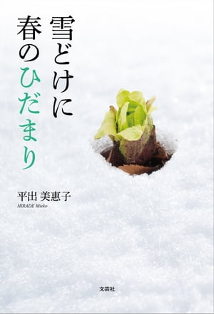 ɤ˽դΤҤޤŻҽҡ[ ʿت ]