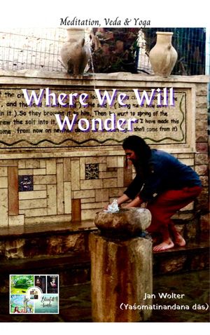 Where We Will Wonder A world to ponder: Wisdom o