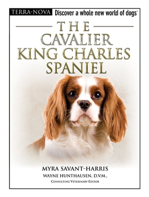 The Cavalier King Charles Spaniel