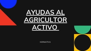 AYUDAS AL AGRICULTOR ACTIVO