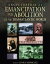 Encyclopedia of Emancipation and Abolition in the Transatlantic WorldŻҽҡ[ Junius P. Rodriguez ]