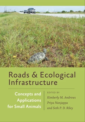 Roads and Ecological Infrastructure