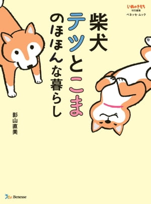 柴犬テツとこま　のほほんな暮らし