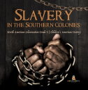 Slavery in the Southern Colonies | North American Colonization Grade 3 | Children's American History