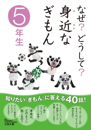 なぜ？どうして？ 身近なぎもん 5年生