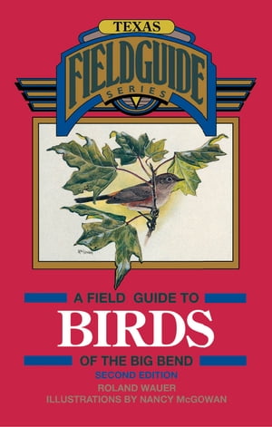 A Field Guide to Birds of the Big Bend