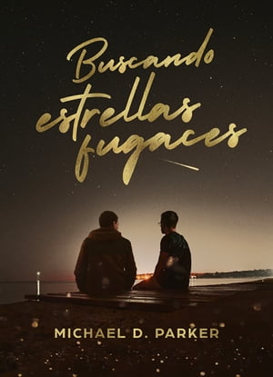 Buscando estrellas fugaces