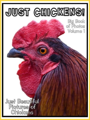 Just Chicken Photos! Big Book of Photographs & Pictures of Chickens, Chicks, Hens, & Roosters, Vol. 1