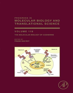 The Molecular Biology of Cadherins