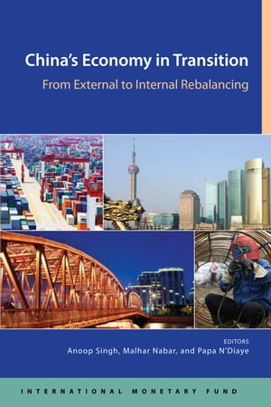 China's Economy in Transition: From External to Internal Rebalancing