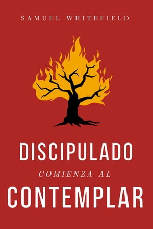 Discipulado Comienza al Contemplar