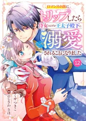 Berry’sFantasy ロマンス小説にトリップしたら侍女のはずが王太子殿下に溺愛されることになりました12巻