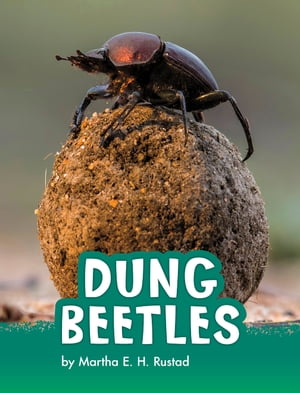 Dung BeetlesŻҽҡ[ Martha E. H. Rustad ]