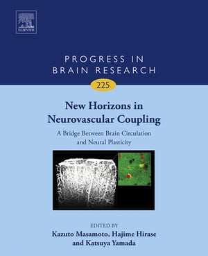 New Horizons in Neurovascular Coupling: A Bridge Between Brain Circulation and Neural Plasticity