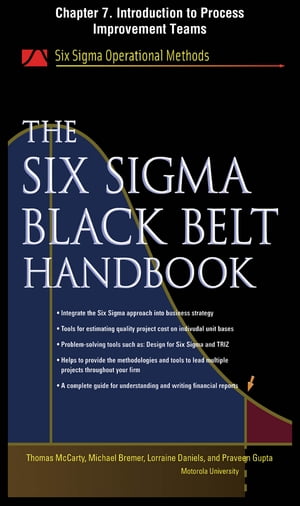 The Six Sigma Black Belt Handbook, Chapter 7 - Introduction to Process Improvement Teams