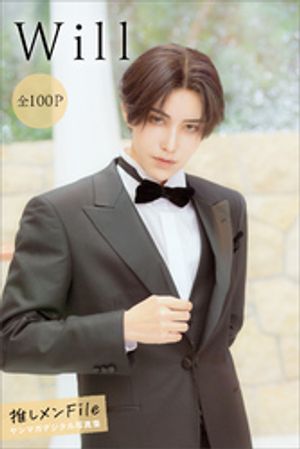 Will䤷File100Pۡޥǥ̿Żҽҡ[ Will ]