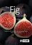 The Fig