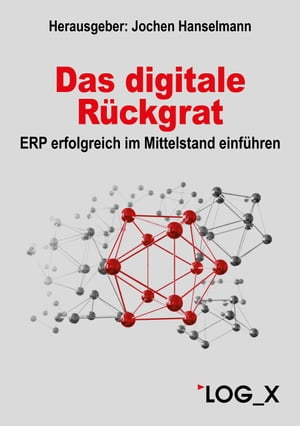 Das digitale R?ckgrat ERP erfolgreich im Mittels