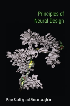 Principles of Neural Design【電子書籍】[ Peter Sterling ]